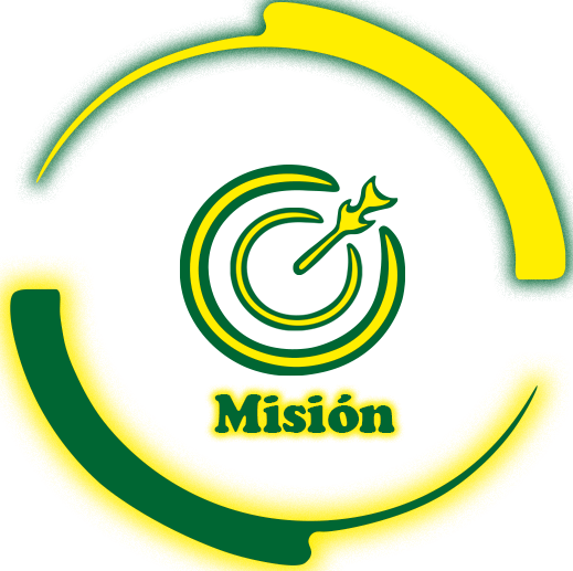 Misión